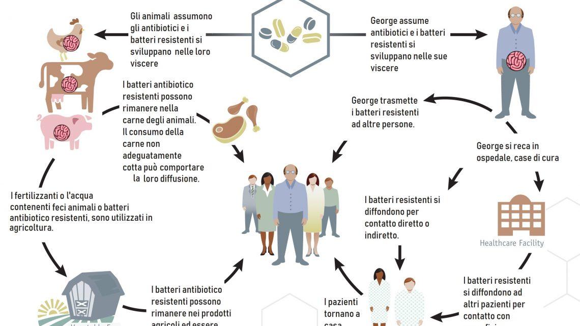 Como funciona un antibiótico