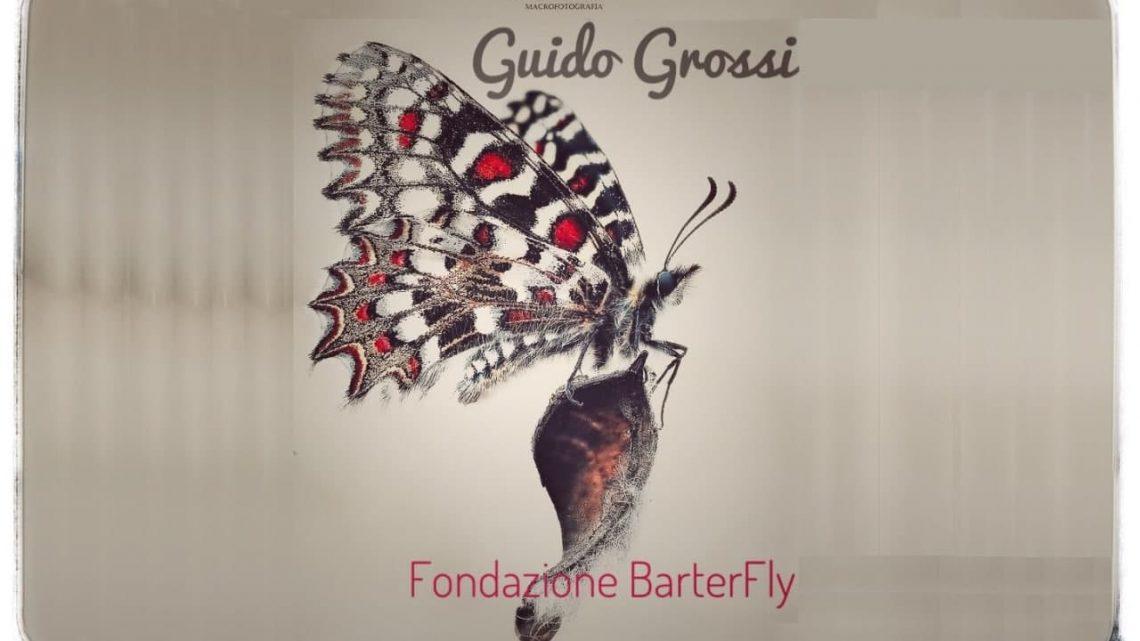 Guido Grossi – Fondazione BarterFly – Da bruco a farfalla